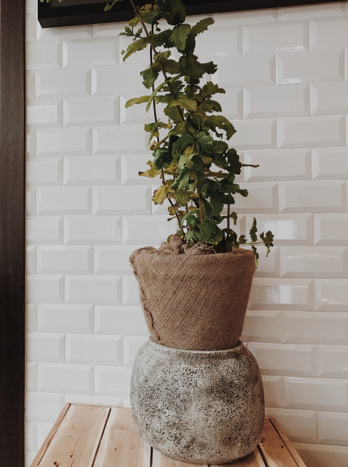 Processed with VSCO with m5 preset