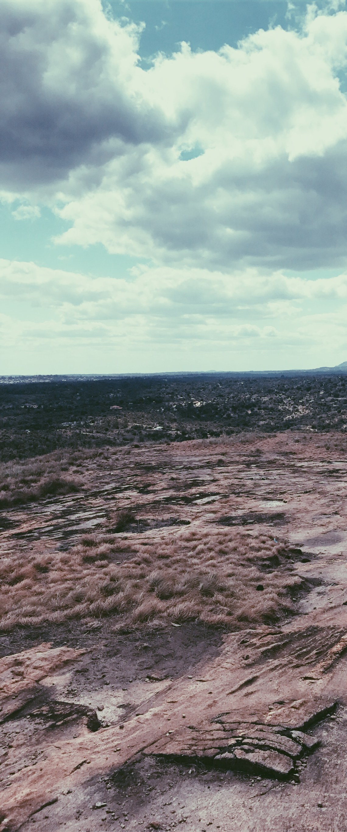 Processed with VSCO with p5 preset